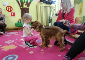 Spotkanie dzieci z podopiecznym Łódzkiego Towarzystwa Opieki nad Zwierzętami - psem Riko.